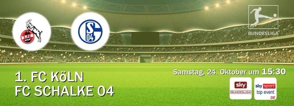 Das Spiel zwischen 1. FC Köln und FC Schalke 04 wird am Samstag, 24. Oktober um 15:30, live vom Sky Bundesliga und Sky Sport Top Event übertragen. Das Spiel zwischen 1. FC Köln und FC Schalke 04 wird am Samstag, 24. Oktober um 15:30, live vom Sky Bundesliga und Sky Sport Top Event übertragen.