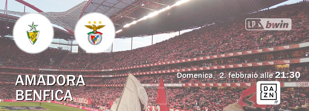 Il match Amadora - Benfica sarà trasmesso in diretta TV su DAZN Italia (ore 21:30)