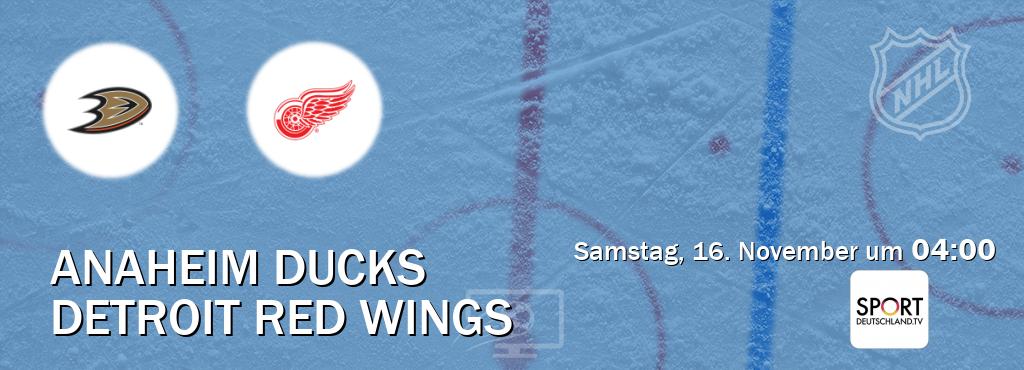 Das Spiel zwischen Anaheim Ducks und Detroit Red Wings wird am Samstag, 16. November um  04:00, live vom Sportdeutschland.TV übertragen.