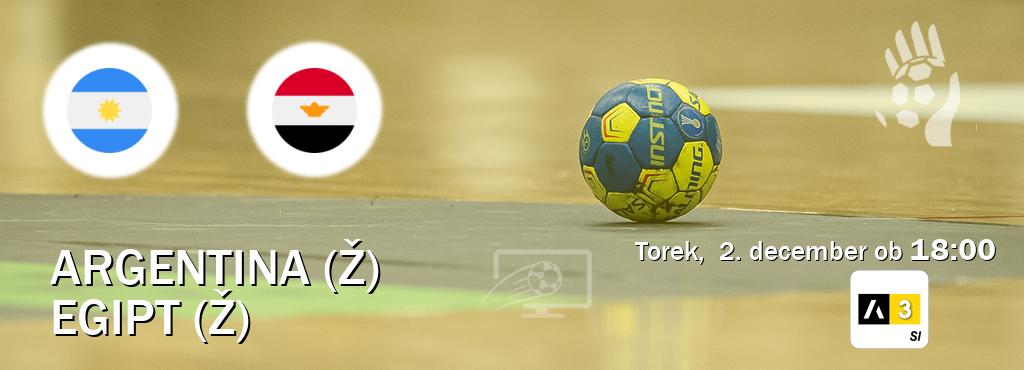 Dvoboj Argentina (Ž) in Egipt (Ž) s prenosom tekme v živo na Arena Sport 3.