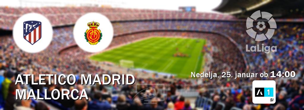 Prenos tekme med Atletico Madrid in Mallorca v živo na Arena Sport 1 (nedelja, 25. januar ob 14:00 uri). Prenos tekme med Atletico Madrid in Mallorca v živo na Arena Sport 1 (nedelja, 25. januar ob 14:00 uri).