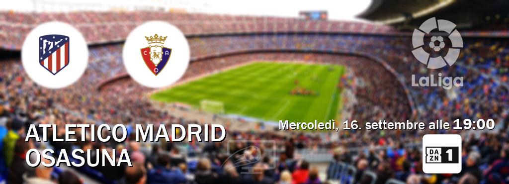 Il match Atletico Madrid - Osasuna sarà trasmesso in diretta TV su DAZN (ore 19:00)