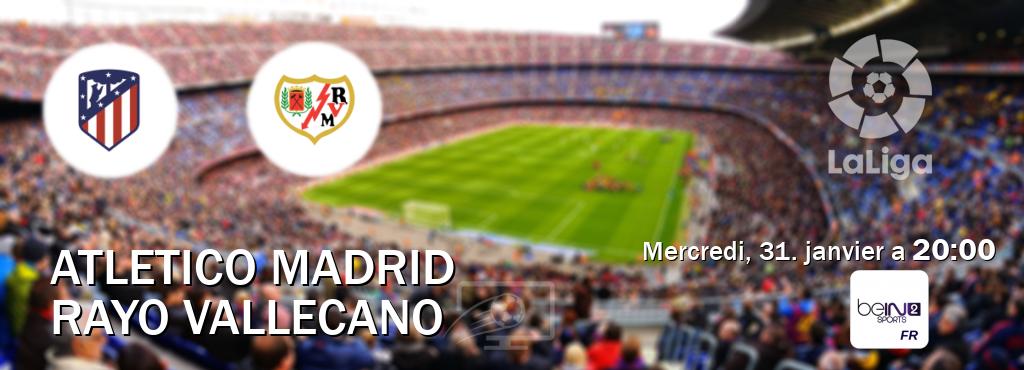 Match entre Atletico Madrid et Rayo Vallecano en direct à la beIN Sports 2 (mercredi, 31. janvier a  20:00).