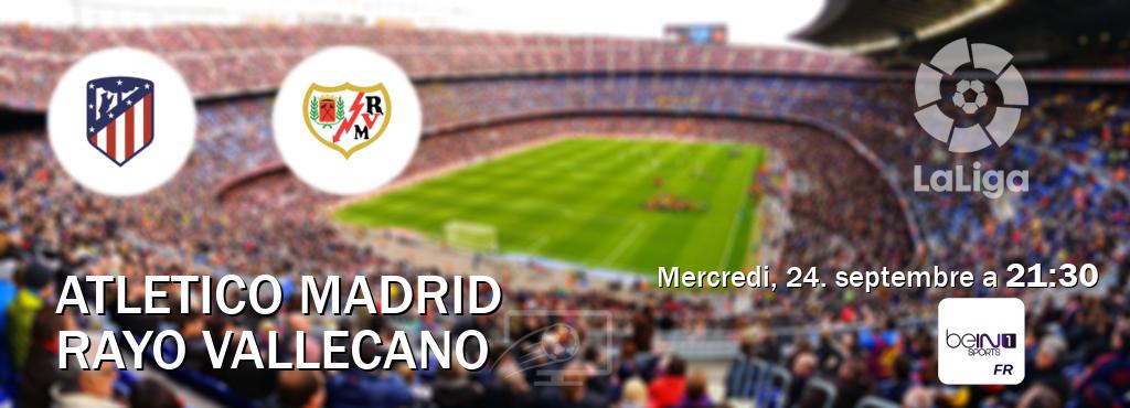 Match entre Atletico Madrid et Rayo Vallecano en direct à la beIN Sports 1 (mercredi, 24. septembre a  21:30).