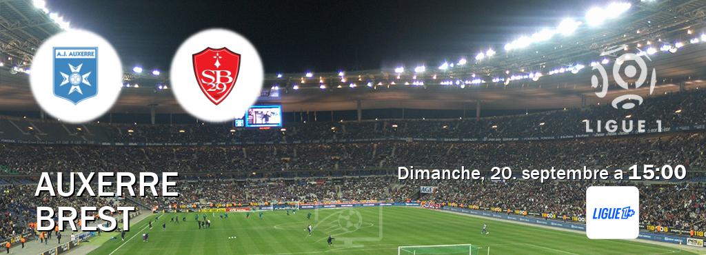 Match entre Auxerre et Brest en direct à la Ligue 1+ (dimanche, 20. septembre a  15:00).