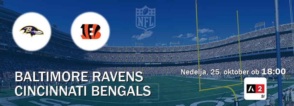 Ne zamudi prenosa tekme Baltimore Ravens - Cincinnati Bengals v živo na Arena Sport 2.