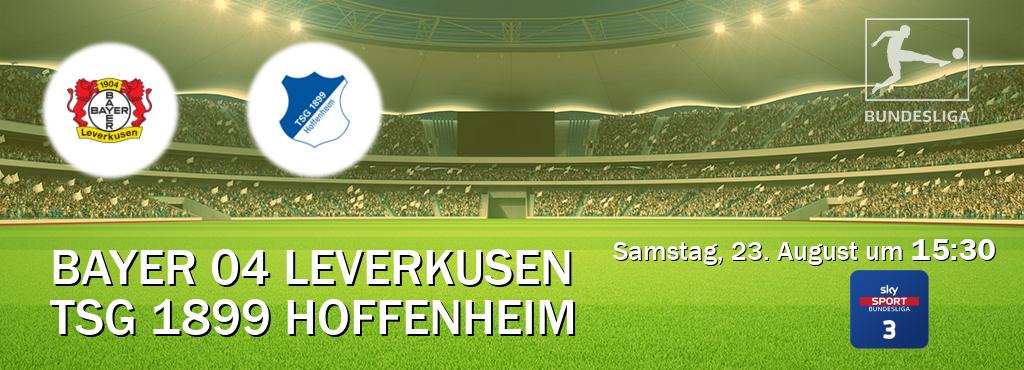 Das Spiel zwischen Bayer 04 Leverkusen und TSG 1899 Hoffenheim wird am Samstag, 23. August um 15:30, live vom Sky Bundesliga 3 übertragen. Das Spiel zwischen Bayer 04 Leverkusen und TSG 1899 Hoffenheim wird am Samstag, 23. August um 15:30, live vom Sky Bundesliga 3 übertragen.
