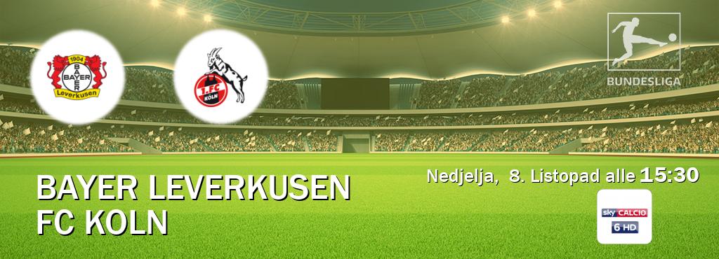 Il match Bayer Leverkusen - FC Koln sarà trasmesso in diretta TV su Sky Calcio 6 (ore 15:30)