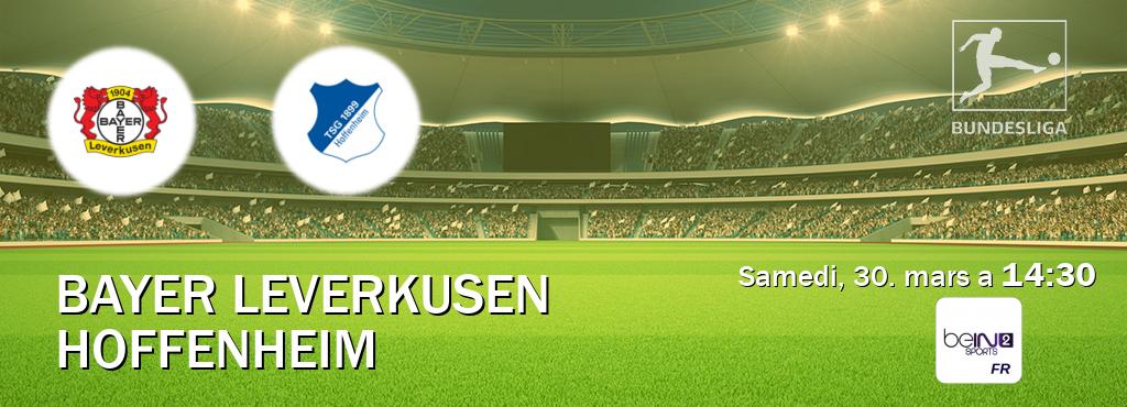 Match entre Bayer Leverkusen et Hoffenheim en direct à la beIN Sports 2 (samedi, 30. mars a  14:30).