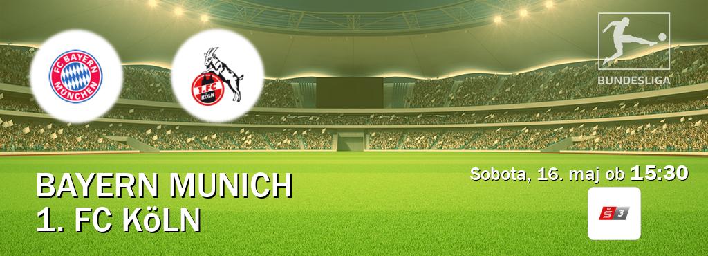Bayern Munich in 1. FC Köln v živo na Sport TV 3. Prenos tekme bo v sobota, 16. maj ob  15:30