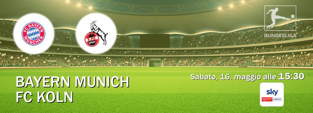 Il match Bayern Munich - FC Koln sarà trasmesso in diretta TV su Sky Sport Calcio (ore 15:30)
