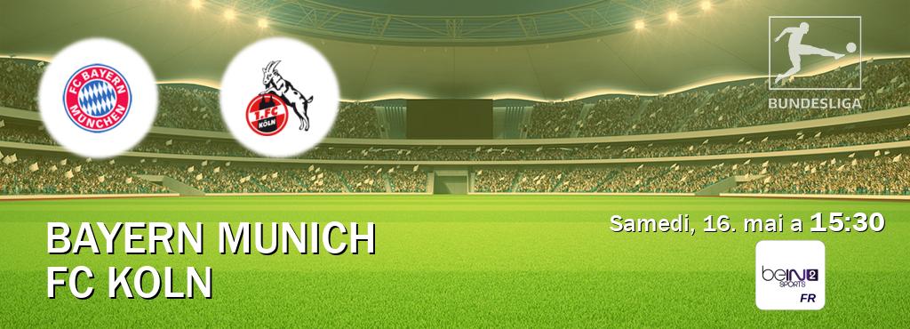 Match entre Bayern Munich et FC Koln en direct à la beIN Sports 2 (samedi, 16. mai a  15:30).