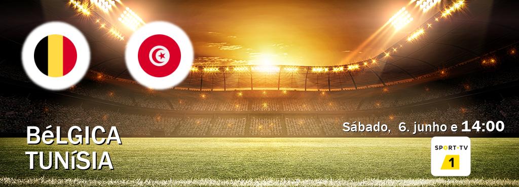 Jogo entre Bélgica e Tunísia tem emissão Sport TV 1 (sábado,  6. junho e  14:00).
