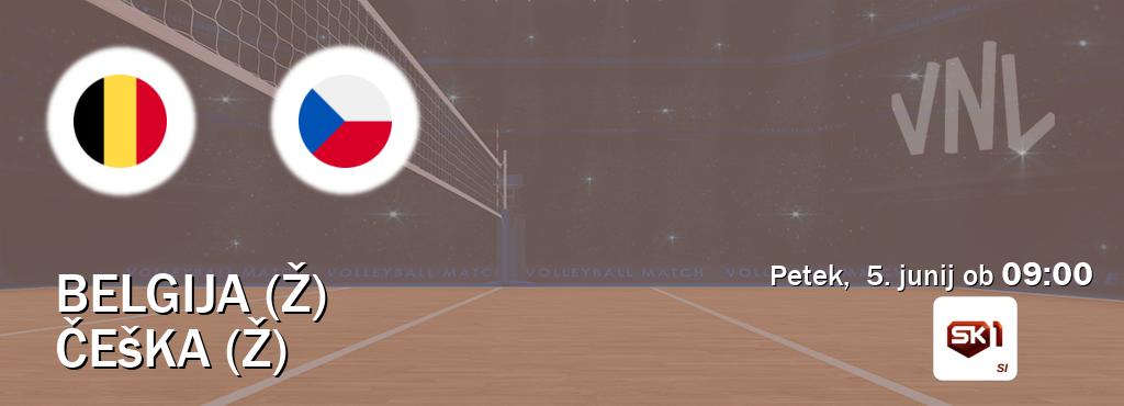Prenos tekme med Belgija (Ž) in Češka (Ž) v živo na Sportklub 1 (petek,  5. junij ob  09:00 uri).