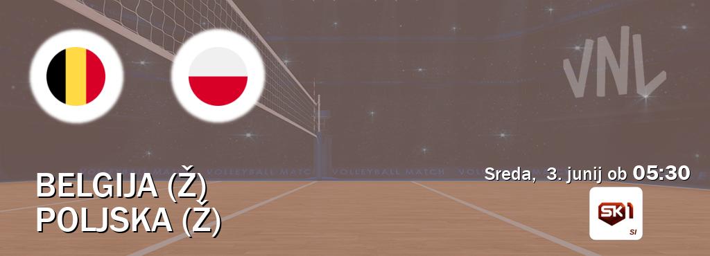 Dvoboj Belgija (Ž) in Poljska (Ž) s prenosom tekme v živo na Sportklub 1. Dvoboj Belgija (Ž) in Poljska (Ž) s prenosom tekme v živo na Sportklub 1.