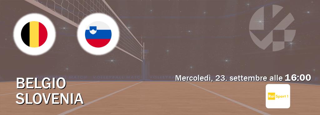 Il match Belgio - Slovenia sarà trasmesso in diretta TV su Rai Sport (ore 16:00) Il match Belgio - Slovenia sarà trasmesso in diretta TV su Rai Sport (ore 16:00)