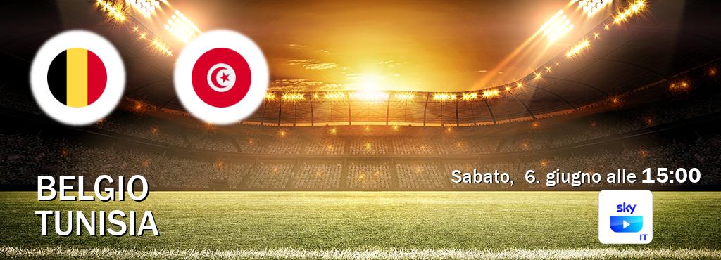 Il match Belgio - Tunisia sarà trasmesso in diretta TV su SKY Go Italia (ore 15:00)