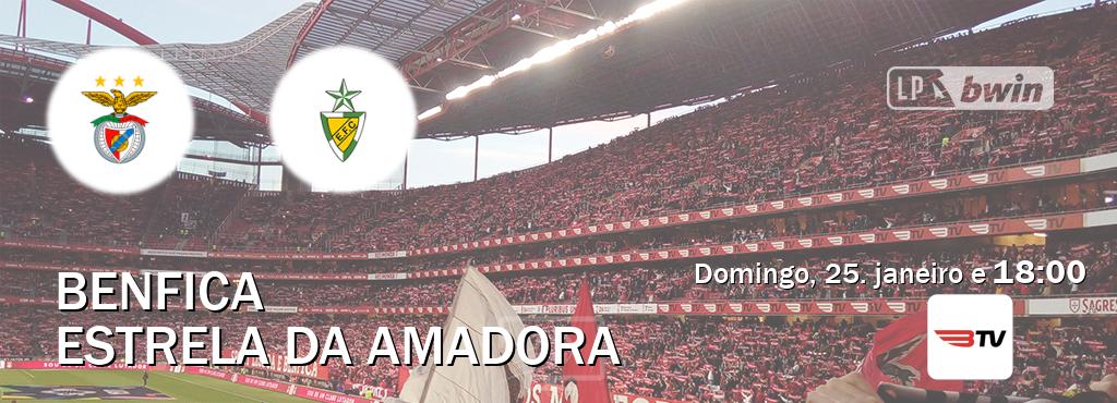 Jogo entre Benfica e Estrela da Amadora tem emissão Benfica TV (domingo, 25. janeiro e  18:00).