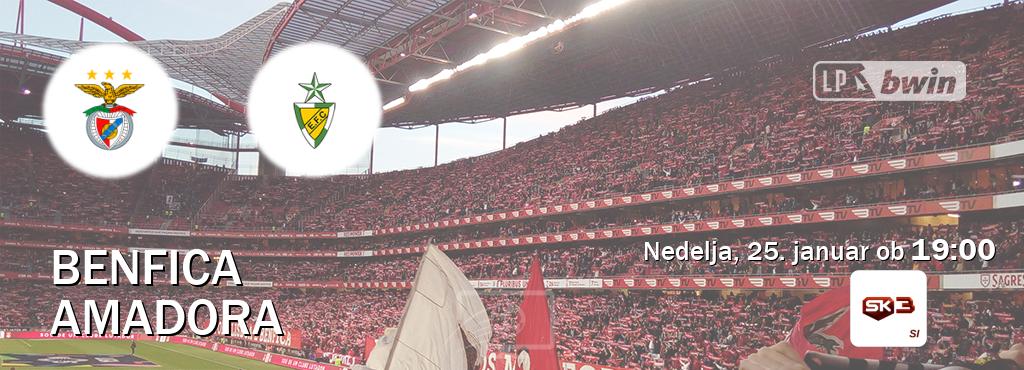 Ne zamudi prenosa tekme Benfica - Amadora v živo na Sportklub 3.
