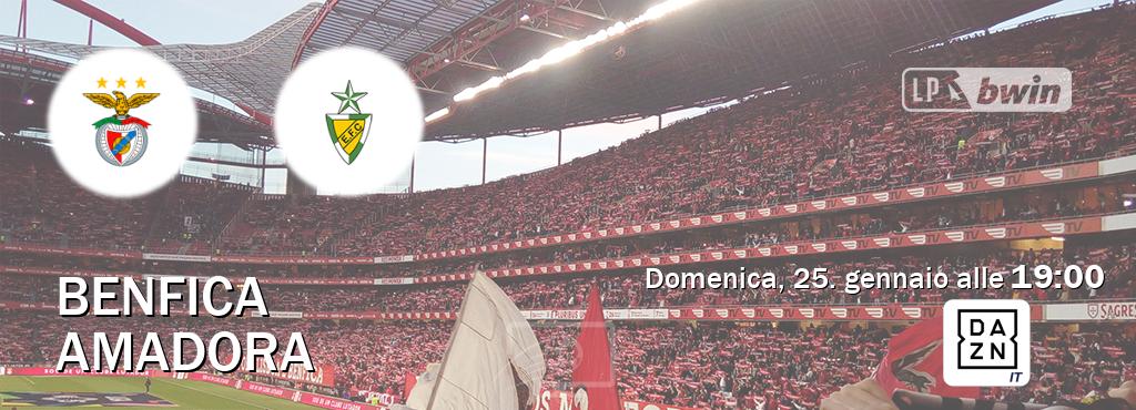 Il match Benfica - Amadora sarà trasmesso in diretta TV su DAZN Italia (ore 19:00)
