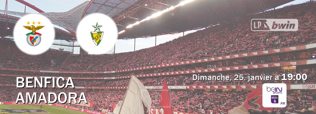 Match entre Benfica et Amadora en direct à la beIN Sports 6 Max (dimanche, 25. janvier a 19:00). Match entre Benfica et Amadora en direct à la beIN Sports 6 Max (dimanche, 25. janvier a 19:00).