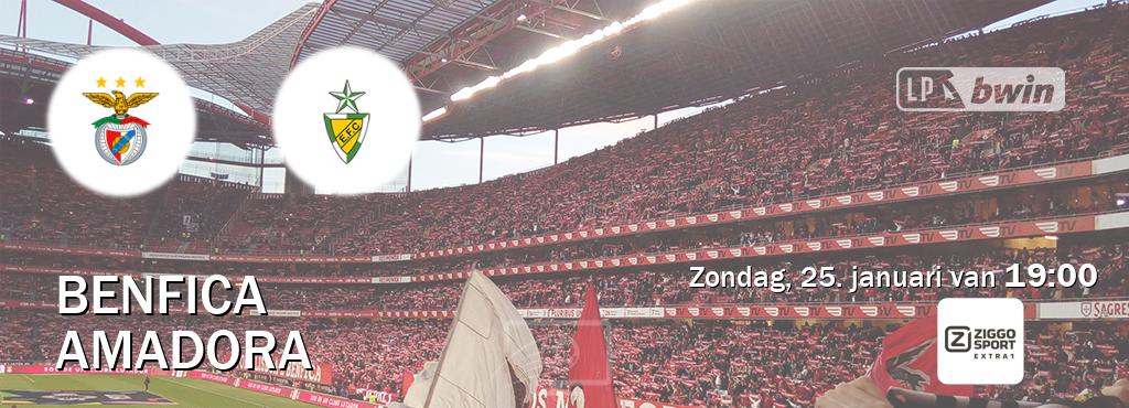 Wedstrijd tussen Benfica en Amadora live op tv bij Ziggo Sport 5 (zondag, 25. januari van  19:00).