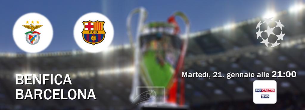 Il match Benfica - Barcelona sarà trasmesso in diretta TV su Sky Calcio 5 (ore 21:00)