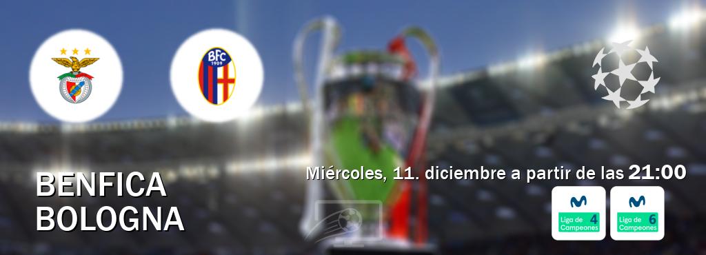 El partido entre Benfica y Bologna será retransmitido por Movistar Liga de Campeones 4 y Movistar Liga de Campeones 6  (miércoles, 11. diciembre a partir de las  21:00).