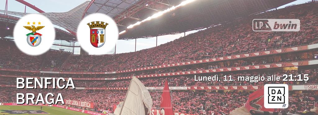 Il match Benfica - Braga sarà trasmesso in diretta TV su DAZN Italia (ore 21:15)