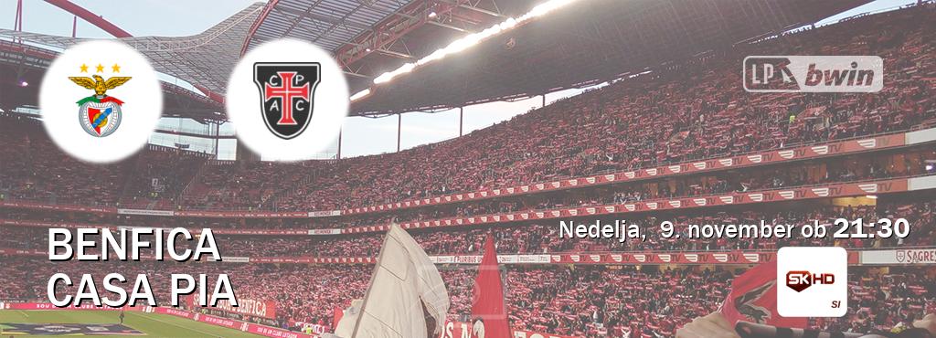 Dvoboj Benfica in Casa Pia s prenosom tekme v živo na Sportklub HD. Dvoboj Benfica in Casa Pia s prenosom tekme v živo na Sportklub HD.