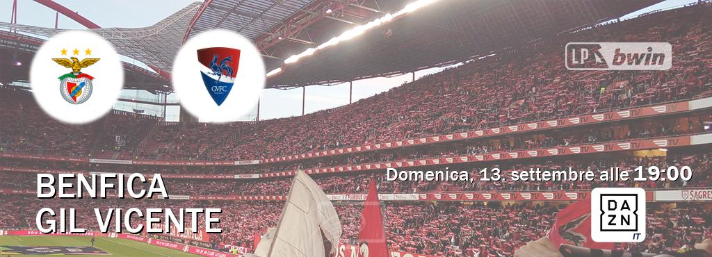 Il match Benfica - Gil Vicente sarà trasmesso in diretta TV su DAZN Italia (ore 19:00)