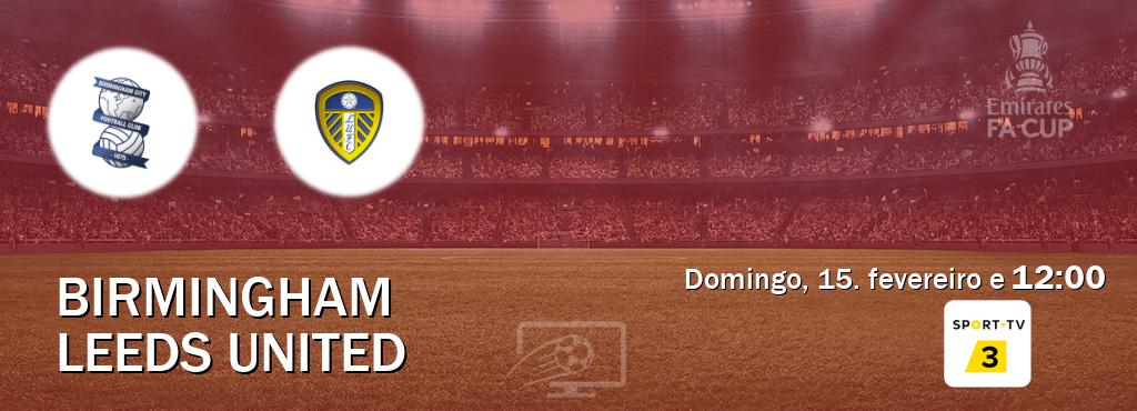 Jogo entre Birmingham e Leeds United tem emissão Sport TV 3 (domingo, 15. fevereiro e  12:00).