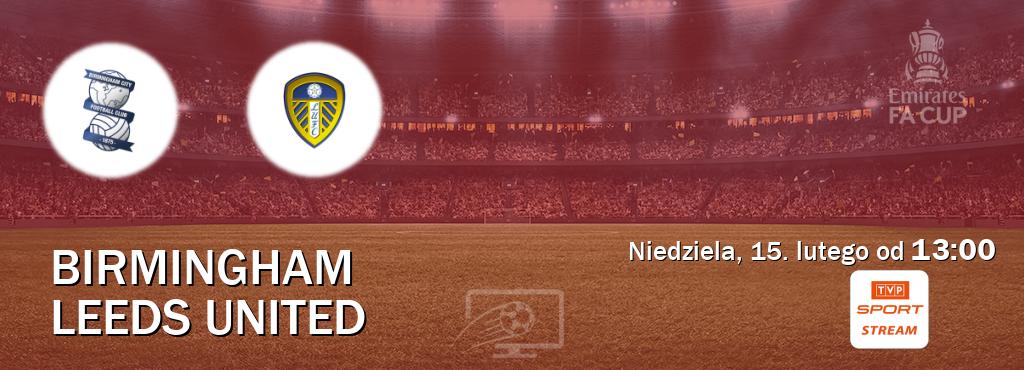 Gra między Birmingham i Leeds United transmisja na żywo w TVP Sport.pl (niedziela, 15. lutego od  13:00).
