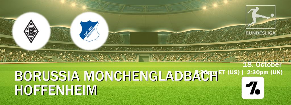 You can watch game live between Borussia Monchengladbach and Hoffenheim on OneFootball. You can watch game live between Borussia Monchengladbach and Hoffenheim on OneFootball.