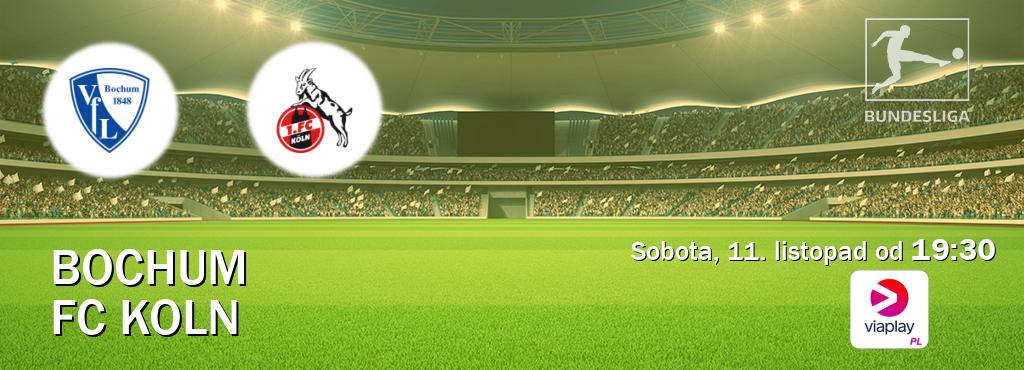 Gra między Bochum i FC Koln transmisja na żywo w Viaplay Polska (sobota, 11. listopad od  19:30).