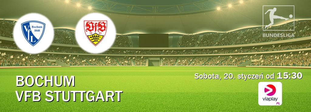 Gra między Bochum i VfB Stuttgart transmisja na żywo w Viaplay Polska (sobota, 20. styczeń od  15:30).