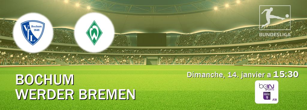 Match entre Bochum et Werder Bremen en direct à la beIN Sports 9 Max (dimanche, 14. janvier a  15:30).