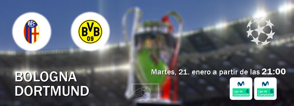 El partido entre Bologna y Dortmund será retransmitido por Movistar Liga de Campeones 4 y Movistar Liga de Campeones 6  (martes, 21. enero a partir de las  21:00).