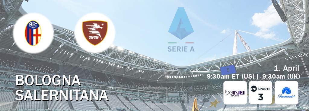 You can watch game live between Bologna and Salernitana on beIN SPORTS 3(AU), TNT Sports 3(UK), Paramount+(US).