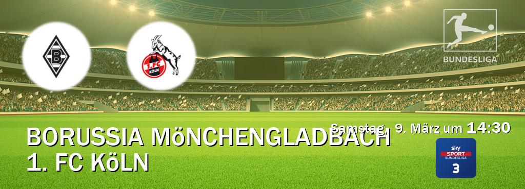Das Spiel zwischen Borussia Mönchengladbach und 1. FC Köln wird am Samstag,  9. März um  14:30, live vom Sky Bundesliga 3 übertragen.