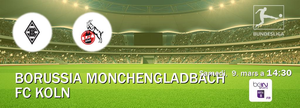 Match entre Borussia Monchengladbach et FC Koln en direct à la beIN Sports 8 Max (samedi,  9. mars a  14:30).