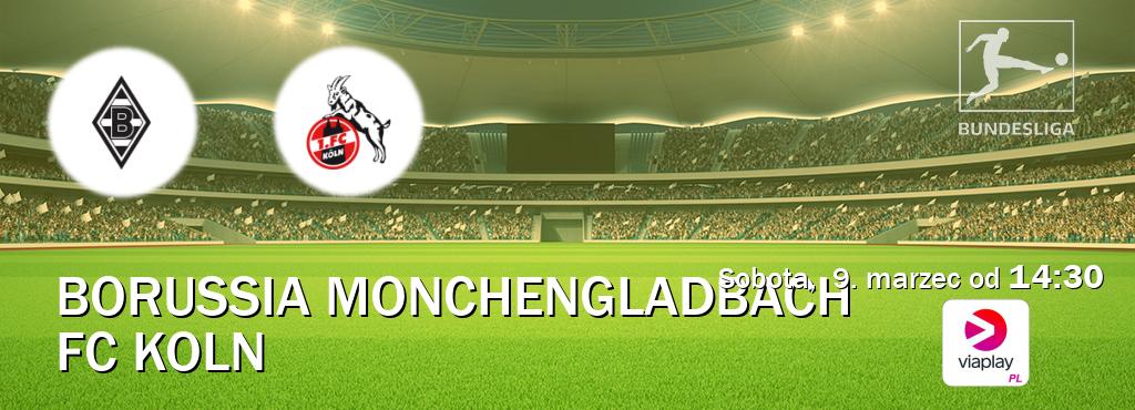 Gra między Borussia Monchengladbach i FC Koln transmisja na żywo w Viaplay Polska (sobota,  9. marzec od  14:30).
