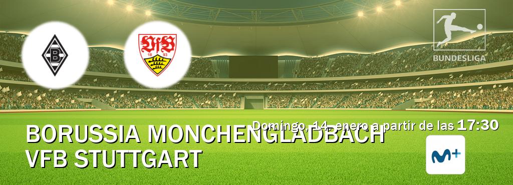 El partido entre Borussia Monchengladbach y VfB Stuttgart será retransmitido por Movistar Liga de Campeones  (domingo, 14. enero a partir de las  17:30).