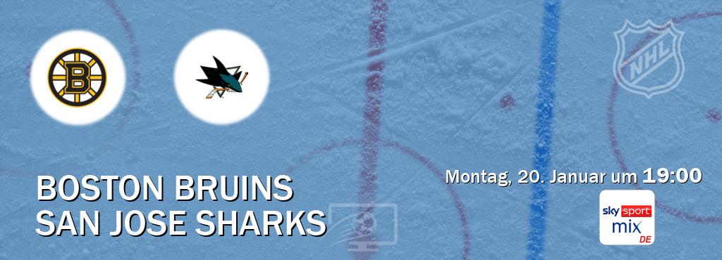 Das Spiel zwischen Boston Bruins und San Jose Sharks wird am Montag, 20. Januar um  19:00, live vom Sky Sport Mix übertragen.