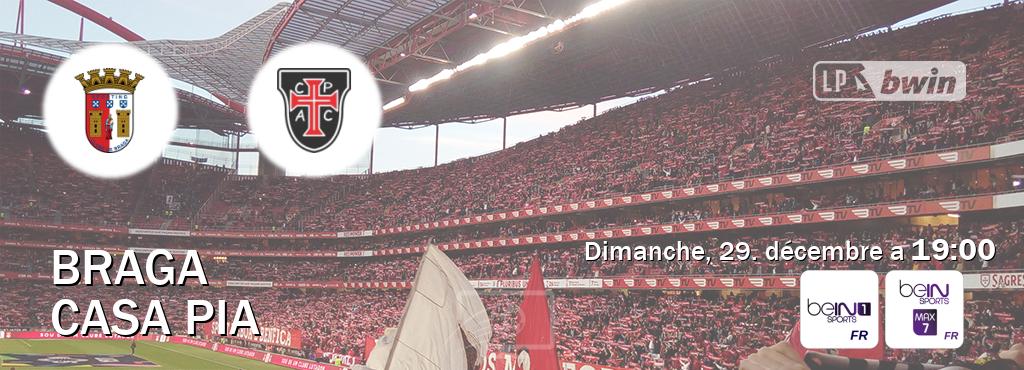 Match entre Braga et Casa Pia en direct à la beIN Sports 1 et beIN Sports 7 Max (dimanche, 29. décembre a  19:00).