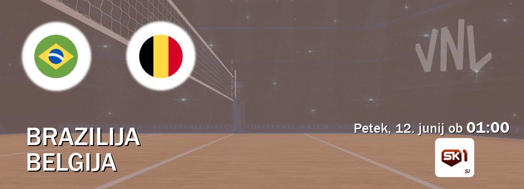 Prenos tekme med Brazilija in Belgija v živo na Sportklub 1 (petek, 12. junij ob  01:00 uri).