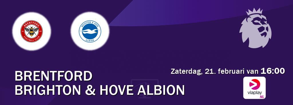 Wedstrijd tussen Brentford en Brighton & Hove Albion live op tv bij Viaplay Nederland (zaterdag, 21. februari van  16:00).