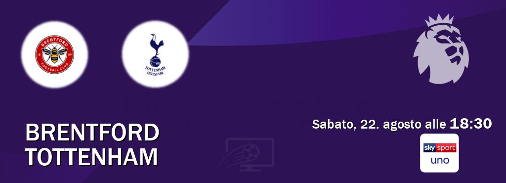 Il match Brentford - Tottenham sarà trasmesso in diretta TV su Sky Sport Uno (ore 18:30)