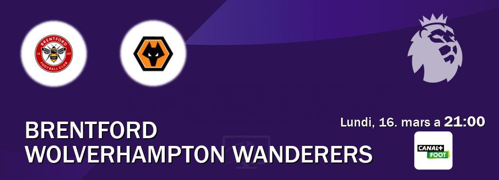 Match entre Brentford et Wolverhampton Wanderers en direct à la Canal+ Foot (lundi, 16. mars a  21:00).