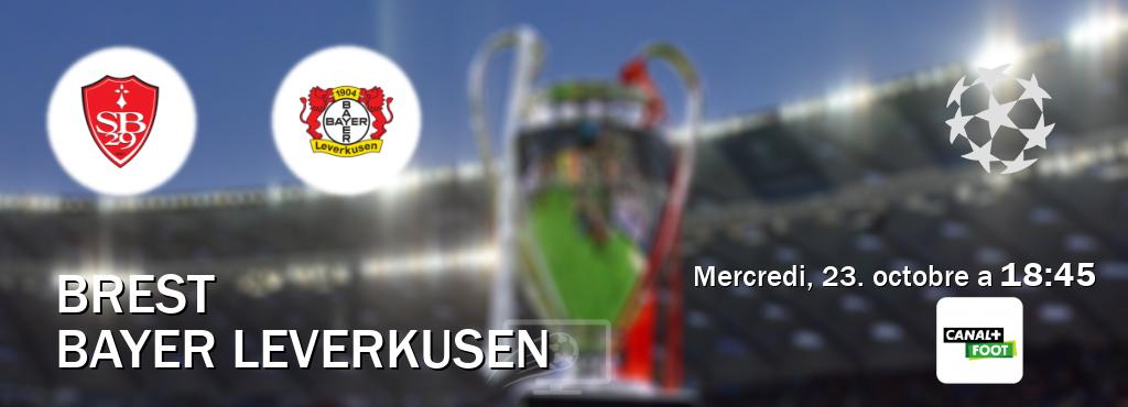 Match entre Brest et Bayer Leverkusen en direct à la Canal+ Foot (mercredi, 23. octobre a  18:45).